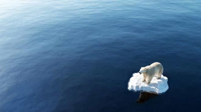 2022'de ölümcül bir virüs daha geliyor! Kahin Baba Vanga'nın 2022 kehanetleri ortaya çıktı 4