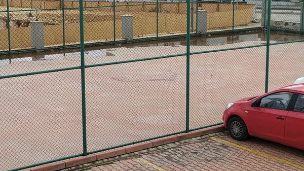 Gaziantep'teki Pitbull dehşetinde sıcak gelişme! Valilik duyurdu! Gözaltı sayısı arttı! 5