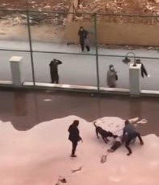 Cumhurbaşkanı Erdoğan devreye girmişti! Minik Asiye'nin ilk sözleri yürekleri dağladı... 1