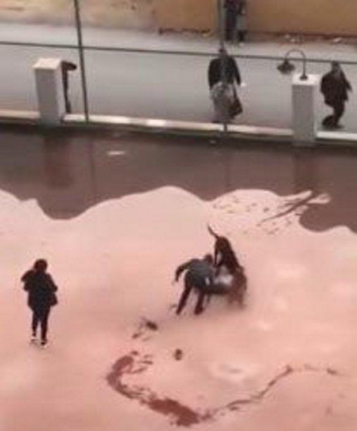 Cumhurbaşkanı Erdoğan devreye girmişti! Minik Asiye'nin ilk sözleri yürekleri dağladı... 2