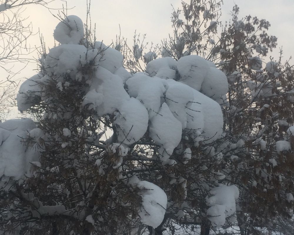 Bingöl'de hava sıcaklığı eski 22 dereceye düştü! Göz kamaştıran kar manzaraları ortaya çıktı 29