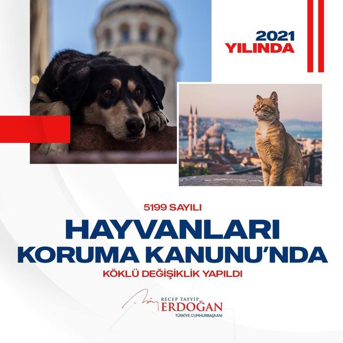 Cumhurbaşkanı Erdoğan, "2021 yılında da durmadık, yola devam dedik" sözleriyle paylaştı 13
