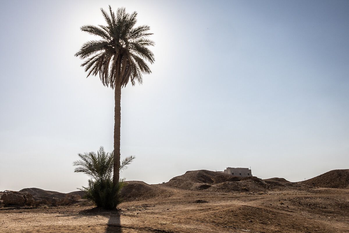 Irak'ın UNESCO Dünya Mirasları Listesi'ndeki Babil kenti güzelliğiyle hayran bırakıyor 12