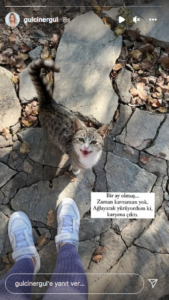 Gülçin Ergül'ün sevgilisi  Erdal Şeyda Lafçı hayatını kaybetmişti... Acı olayın üzerinden tam bir ay geçti 5