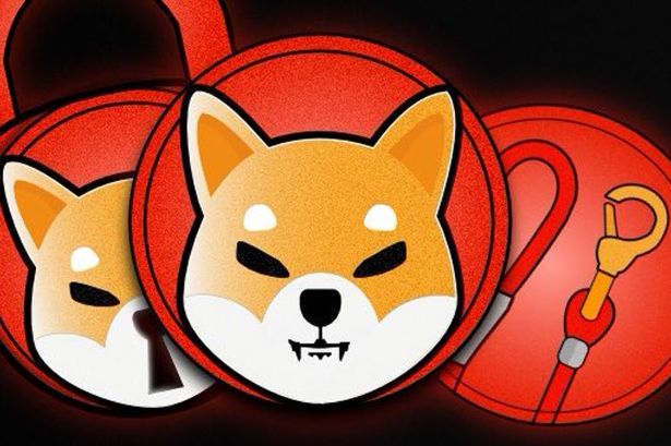 Shiba Coin Dünyayı Ayağa Kaldıracak Metaverse Kararını Açıkladı! 5