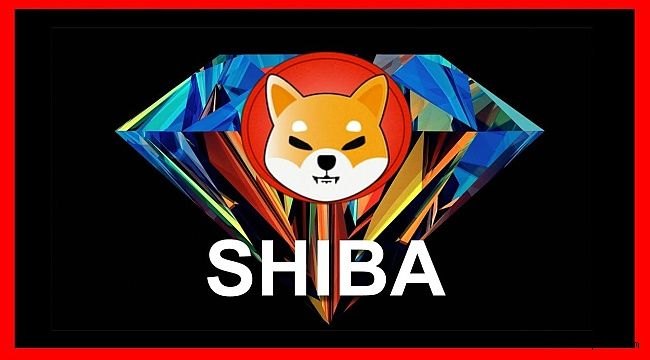 Shiba Coin Dünyayı Ayağa Kaldıracak Metaverse Kararını Açıkladı! 3