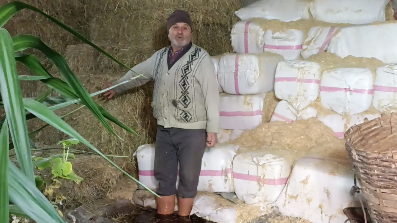 Samsun'da Düden Kanalı taştı, tarım arazileri ve evler su altında kaldı 4