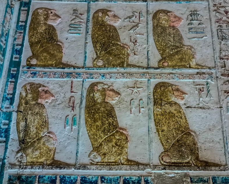 Mısır'da etrafı dağlarla çevrili "yeraltı hayvan mezarlığı" gizemini koruyor 28