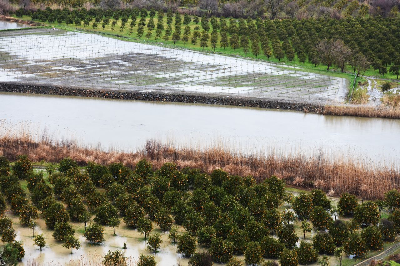 Muğla'da sağanak felaket getirdi, tarım alanları sular altında kaldı 26
