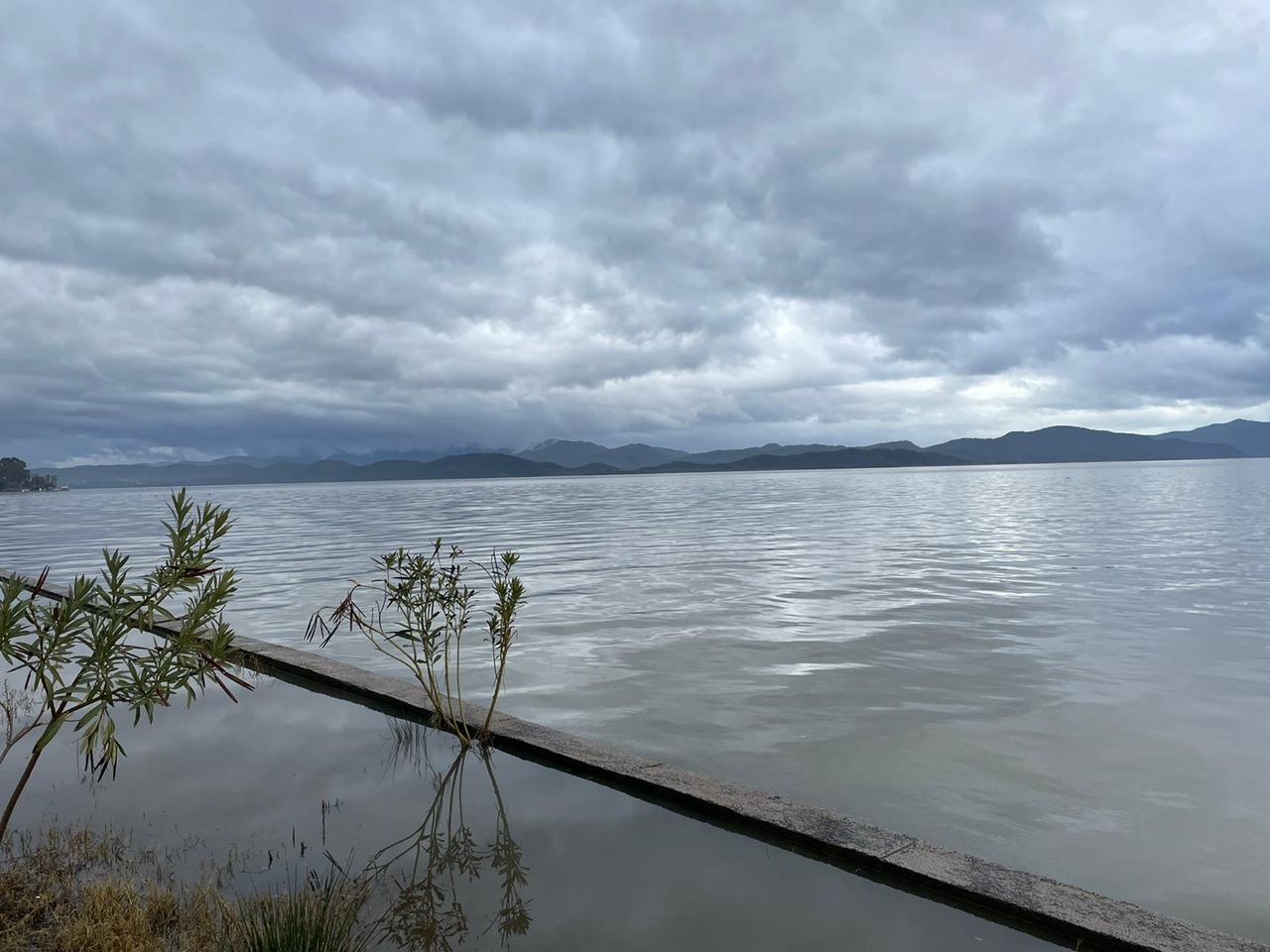 Muğla'da sağanak felaket getirdi, tarım alanları sular altında kaldı 28