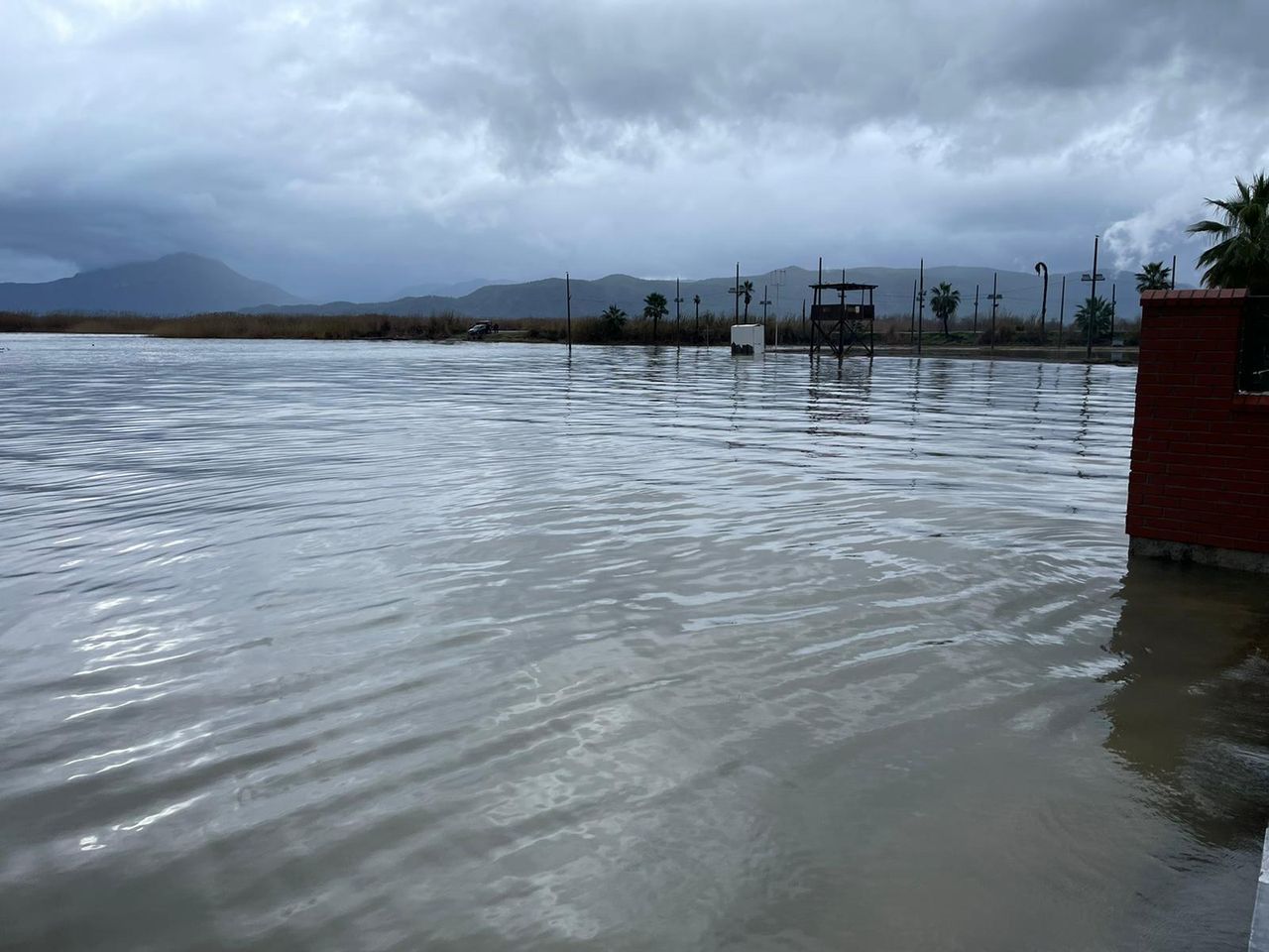 Muğla'da sağanak felaket getirdi, tarım alanları sular altında kaldı 29