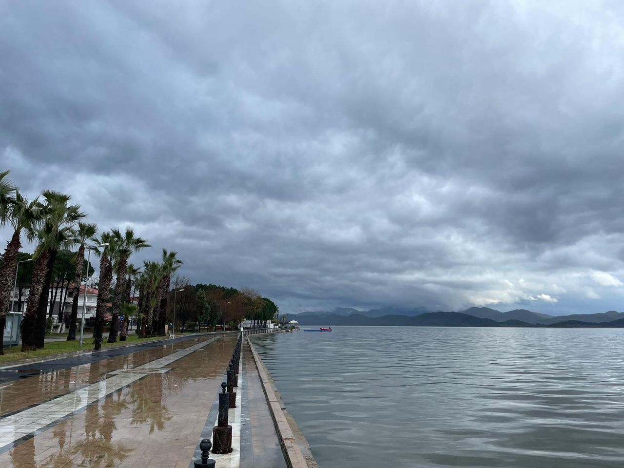 Muğla'da sağanak felaket getirdi, tarım alanları sular altında kaldı 32