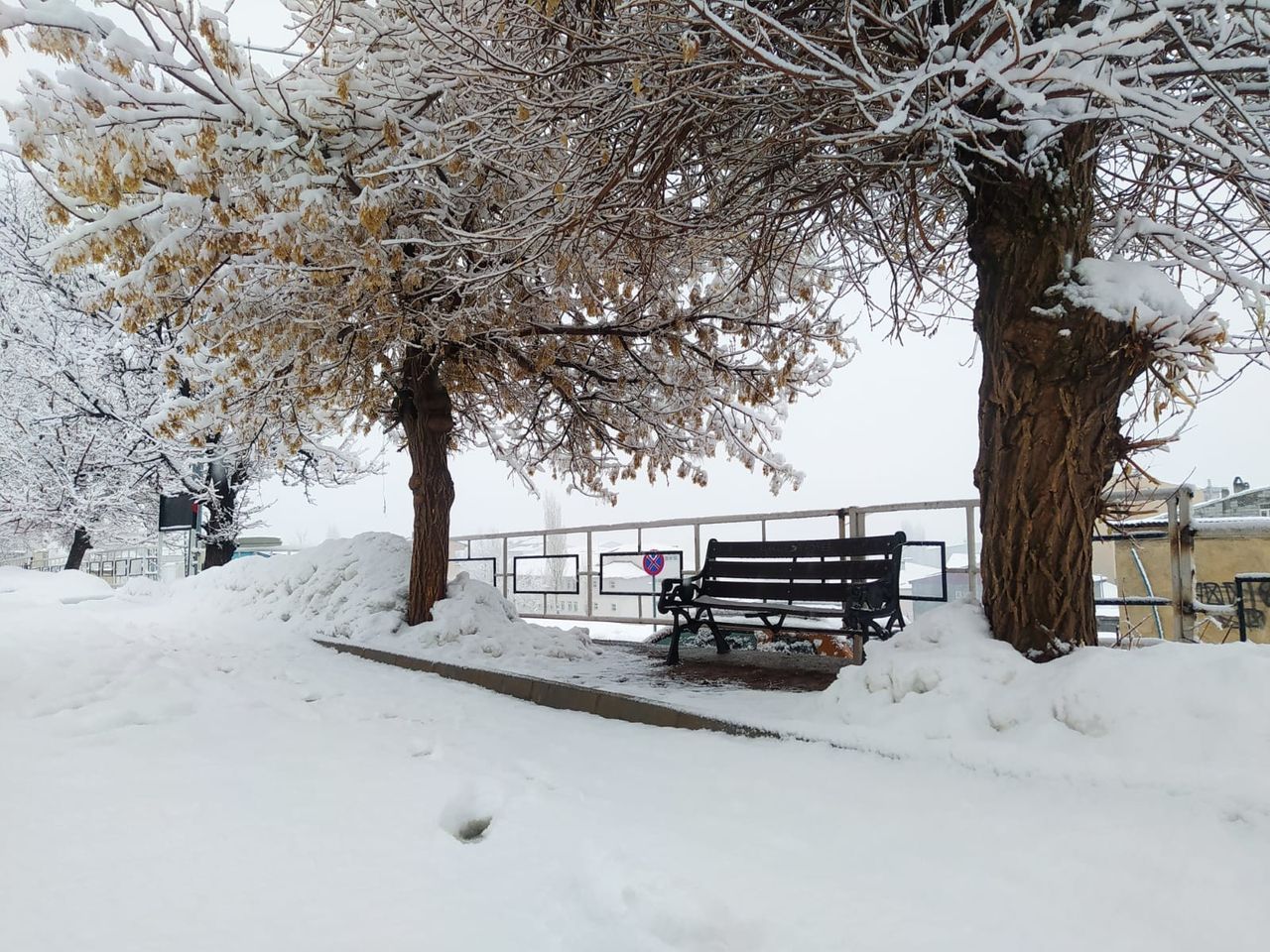Eğitime kar engeli! 4 Mart Cuma günü bu illerde okullar tatil 6