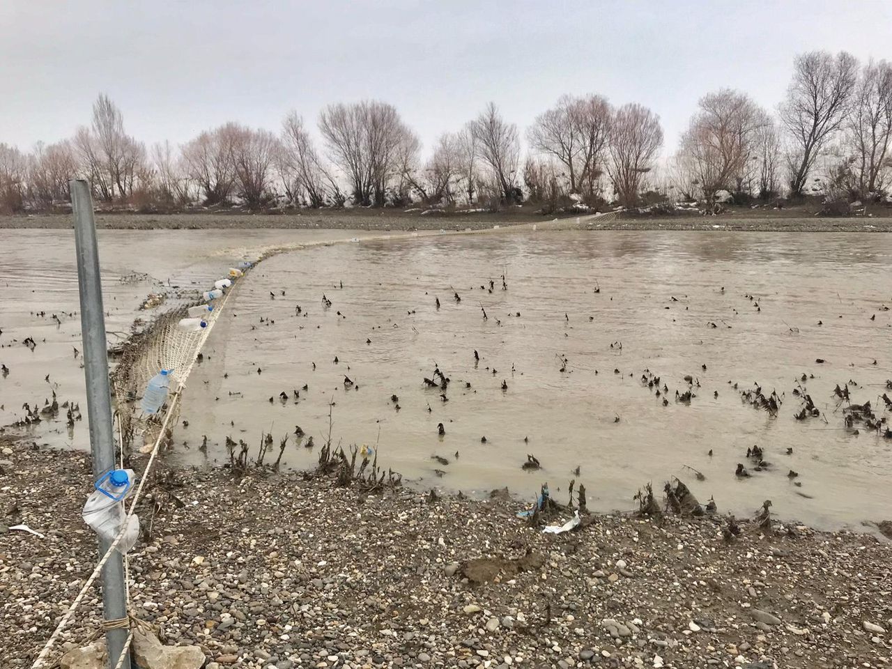 Karasu Nehri'ne düşen 17 yaşındaki Yağmur, 13 gün sonra bulundu 15