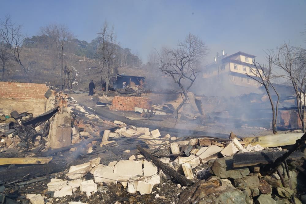 Kastamonu'da bir köy alevlere teslim oldu: Ev ve ahırlar küle döndü, çok sayıda hayvan telef oldu! 4