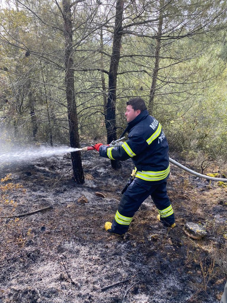 Çanakkale, Osmaniye, Bursa, Bilecik ve Muğla'da orman yangını 16