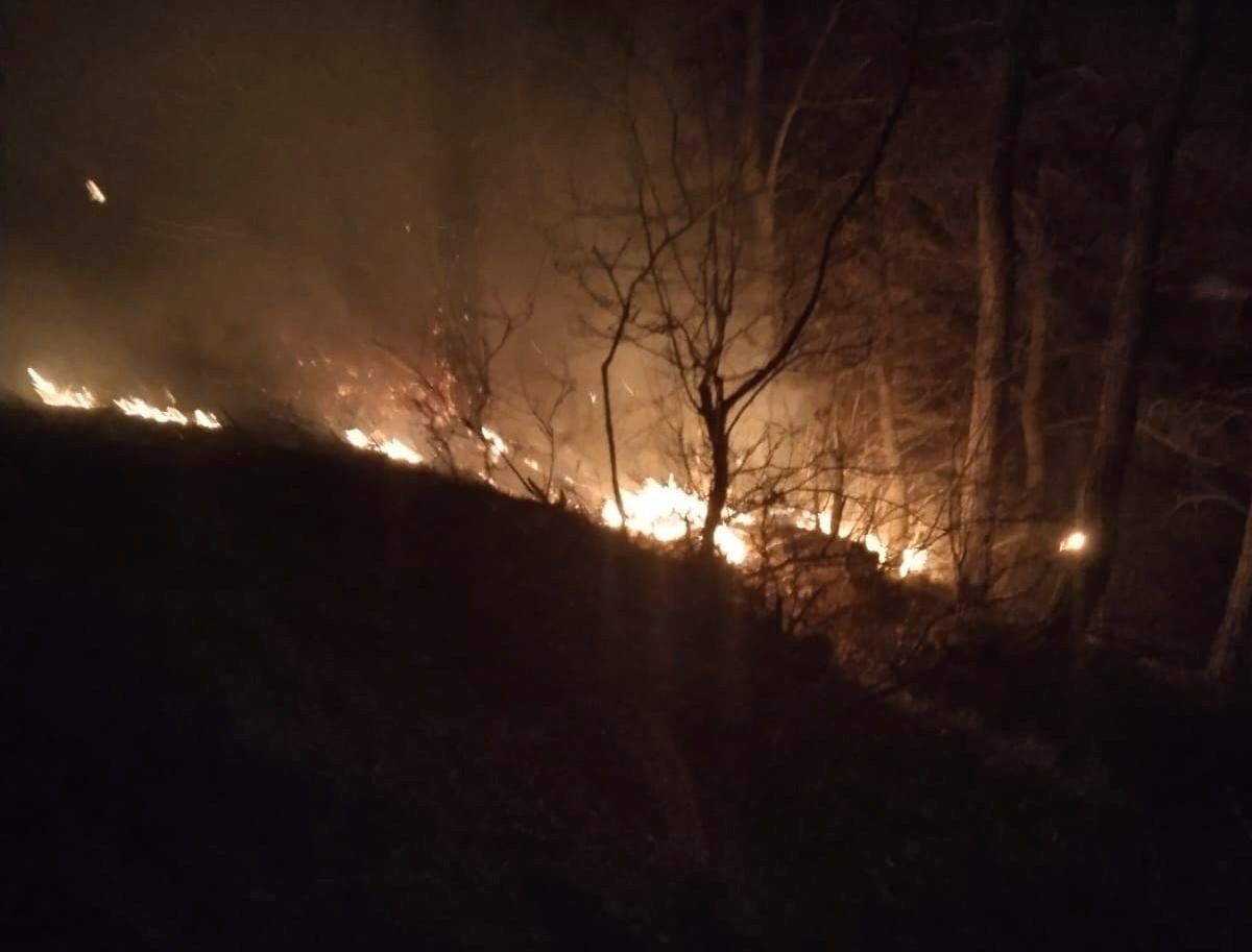 Çanakkale, Osmaniye, Bursa, Bilecik ve Muğla'da orman yangını 10