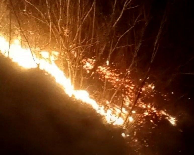 Çanakkale, Osmaniye, Bursa, Bilecik ve Muğla'da orman yangını 11