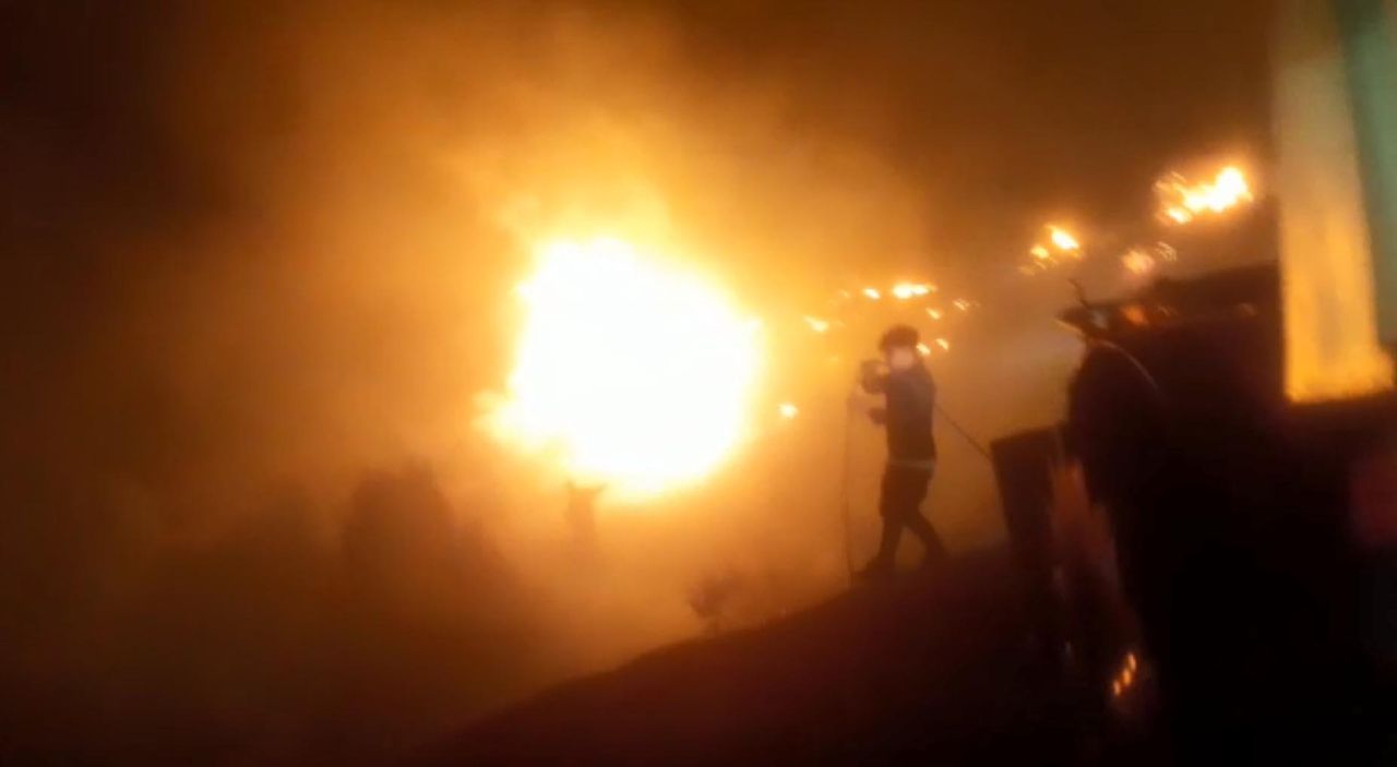 Çanakkale, Osmaniye, Bursa, Bilecik ve Muğla'da orman yangını 13