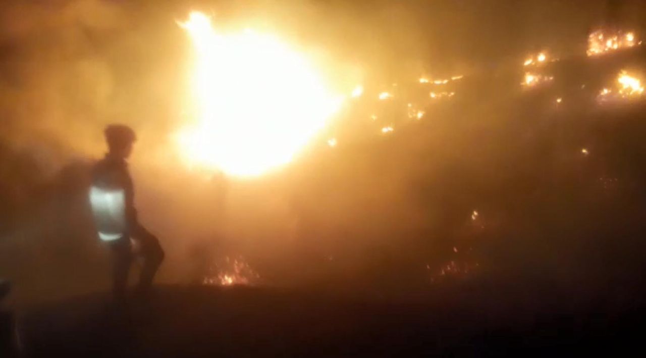 Çanakkale, Osmaniye, Bursa, Bilecik ve Muğla'da orman yangını 12