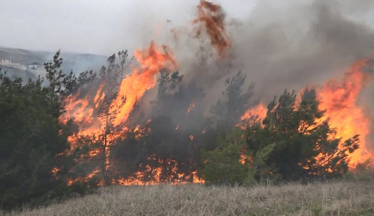 Çanakkale, Osmaniye, Bursa, Bilecik ve Muğla'da orman yangını 14