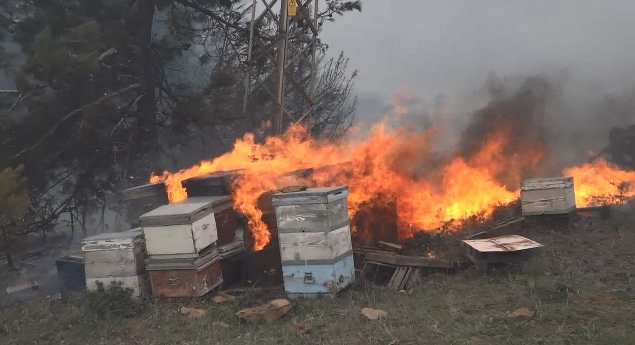 Çanakkale, Osmaniye, Bursa, Bilecik ve Muğla'da orman yangını 15
