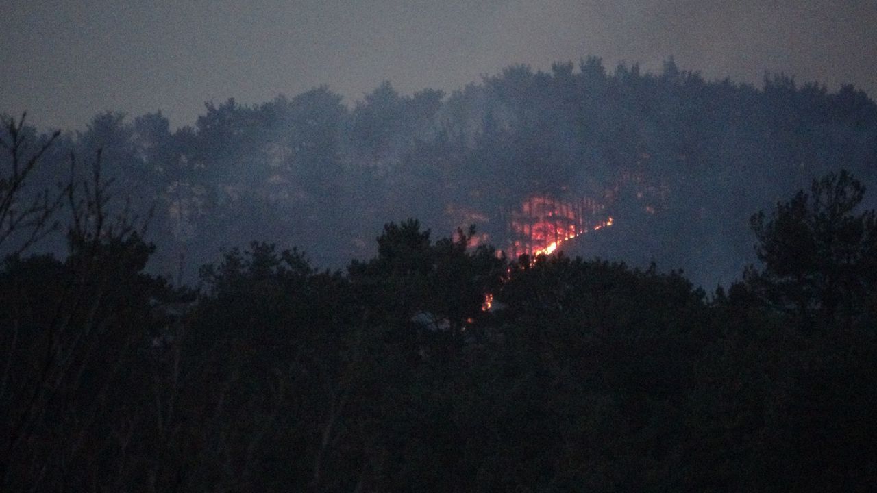 Çanakkale, Osmaniye, Bursa, Bilecik ve Muğla'da orman yangını 3
