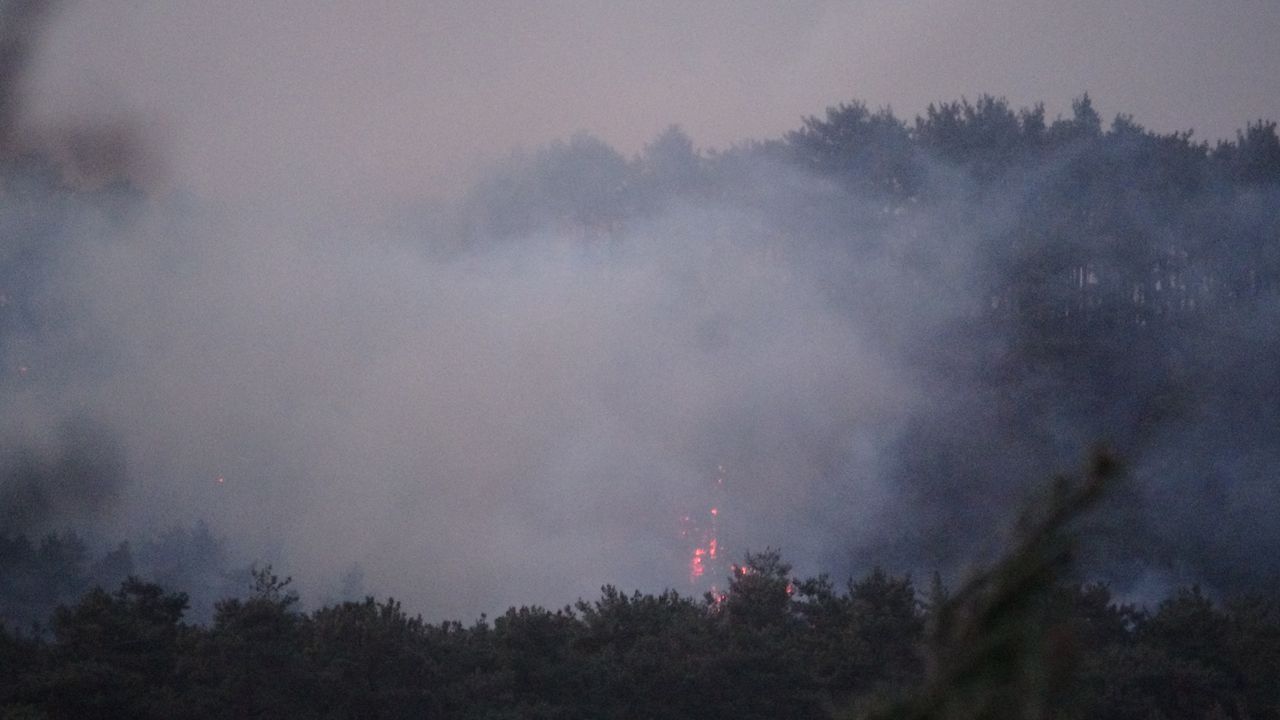 Çanakkale, Osmaniye, Bursa, Bilecik ve Muğla'da orman yangını 2