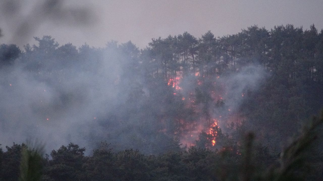 Çanakkale, Osmaniye, Bursa, Bilecik ve Muğla'da orman yangını 1