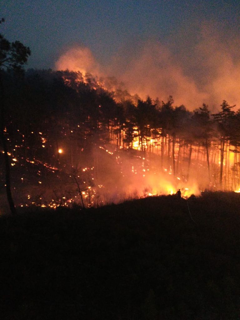 Çanakkale, Osmaniye, Bursa, Bilecik ve Muğla'da orman yangını 5
