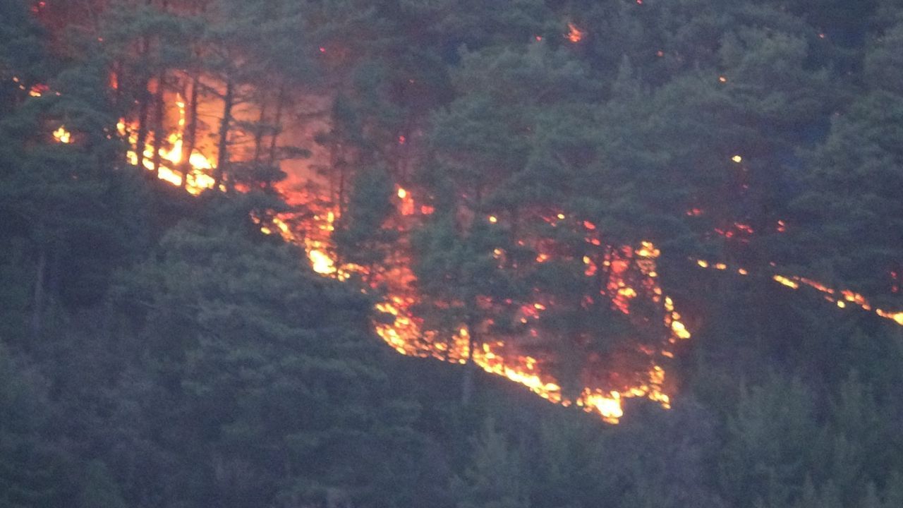 Çanakkale, Osmaniye, Bursa, Bilecik ve Muğla'da orman yangını 8