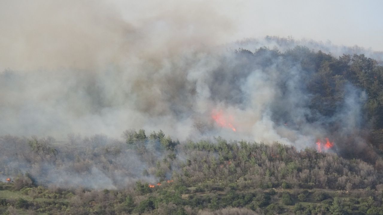 Çanakkale, Osmaniye, Bursa, Bilecik ve Muğla'da orman yangını 7