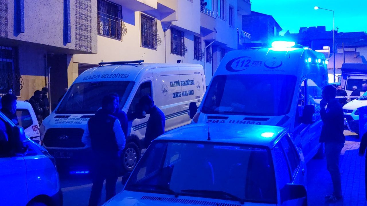 Cinnet getiren damat dehşet saçtı! 2