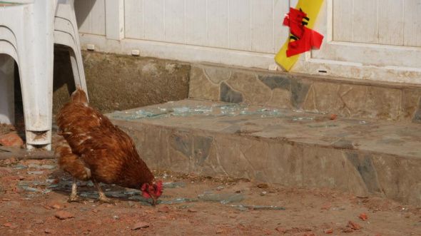 Edirne'deki aile katliamında akılalmaz detay: Size ölüm parası sakladım! 13