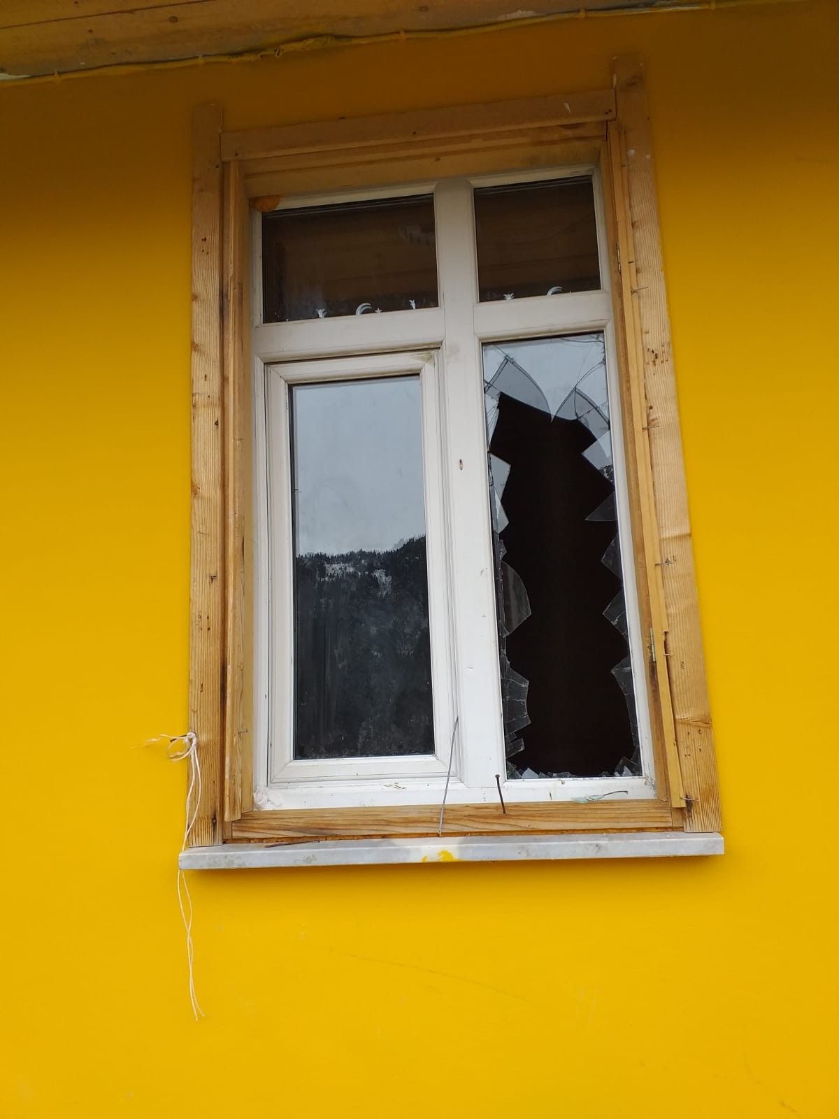 Aç kalan ayılar, yayladaki evleri talan etti 3