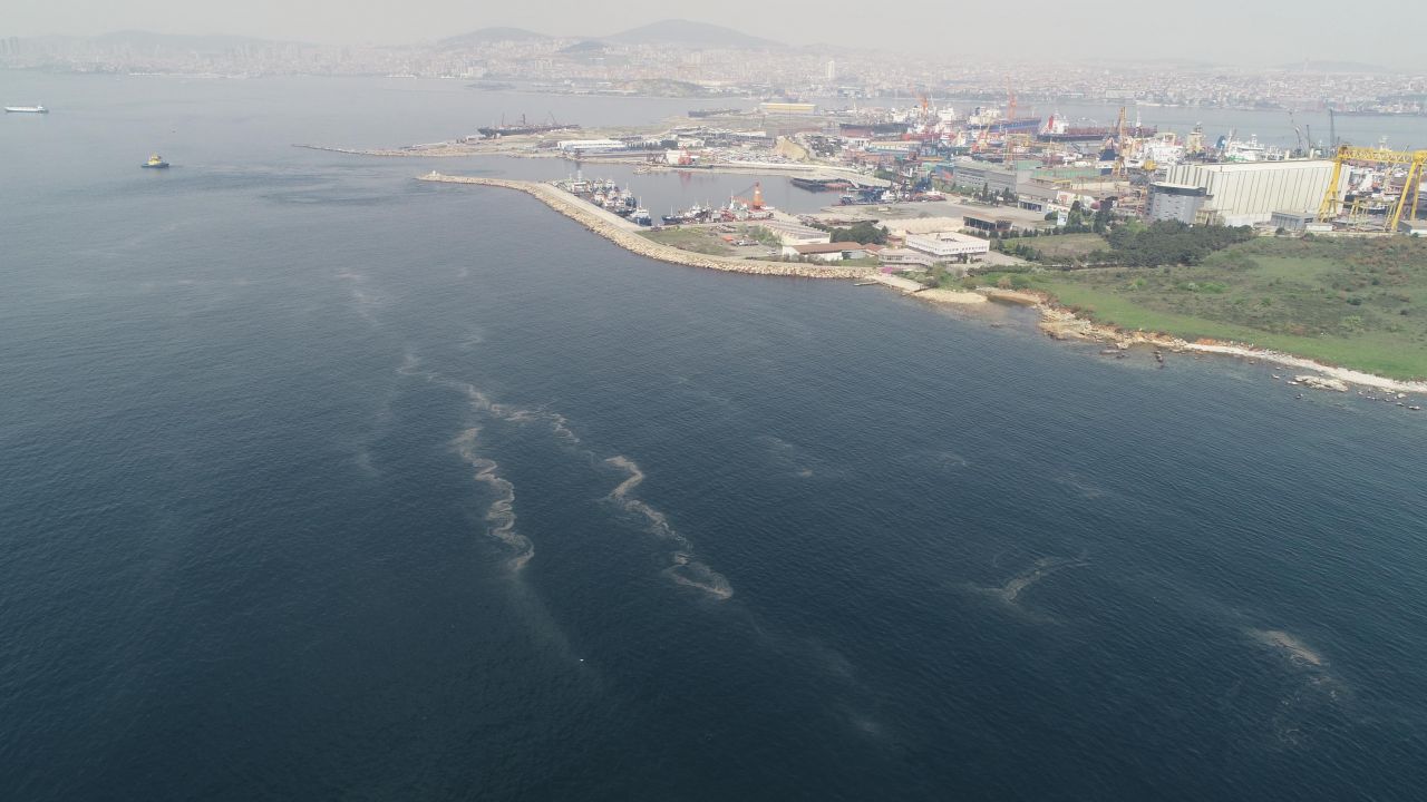 İstanbul'da korkutan görüntü: Müsilaj Marmara'da hızla yayılmaya başladı! 2