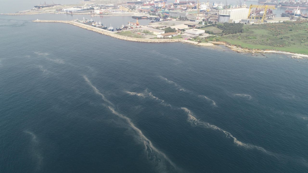 İstanbul'da korkutan görüntü: Müsilaj Marmara'da hızla yayılmaya başladı! 4