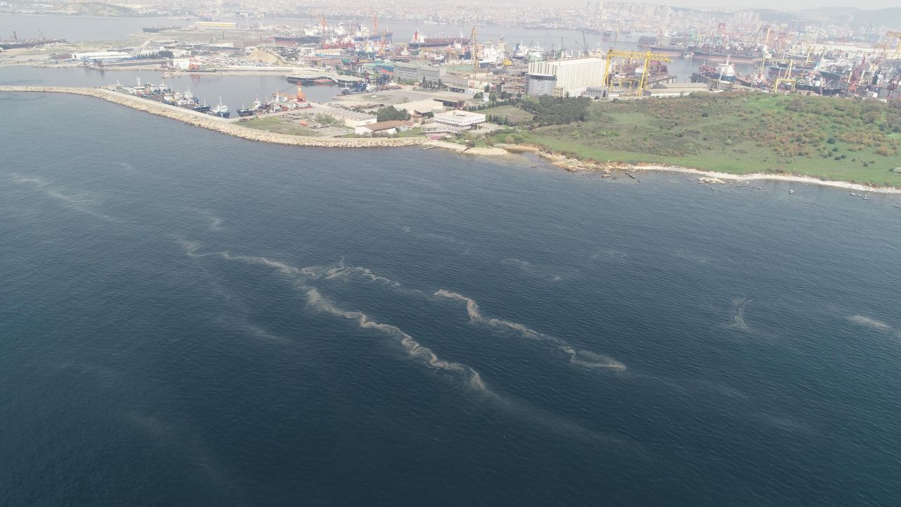 İstanbul'da korkutan görüntü: Müsilaj Marmara'da hızla yayılmaya başladı! 3