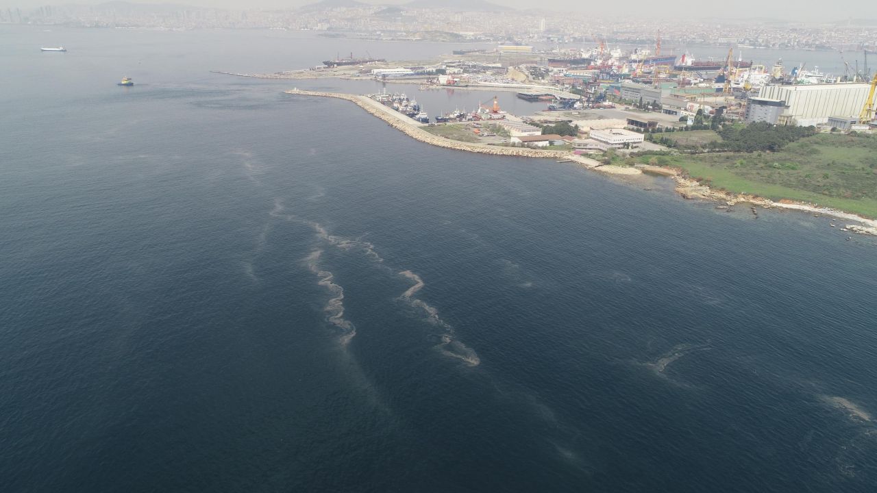 İstanbul'da korkutan görüntü: Müsilaj Marmara'da hızla yayılmaya başladı! 1