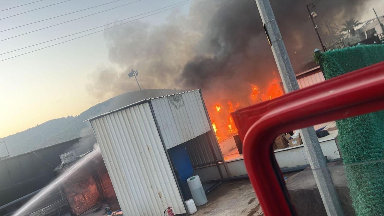 Kılıç Holding'in balık fabrikasında korkutan yangın 3