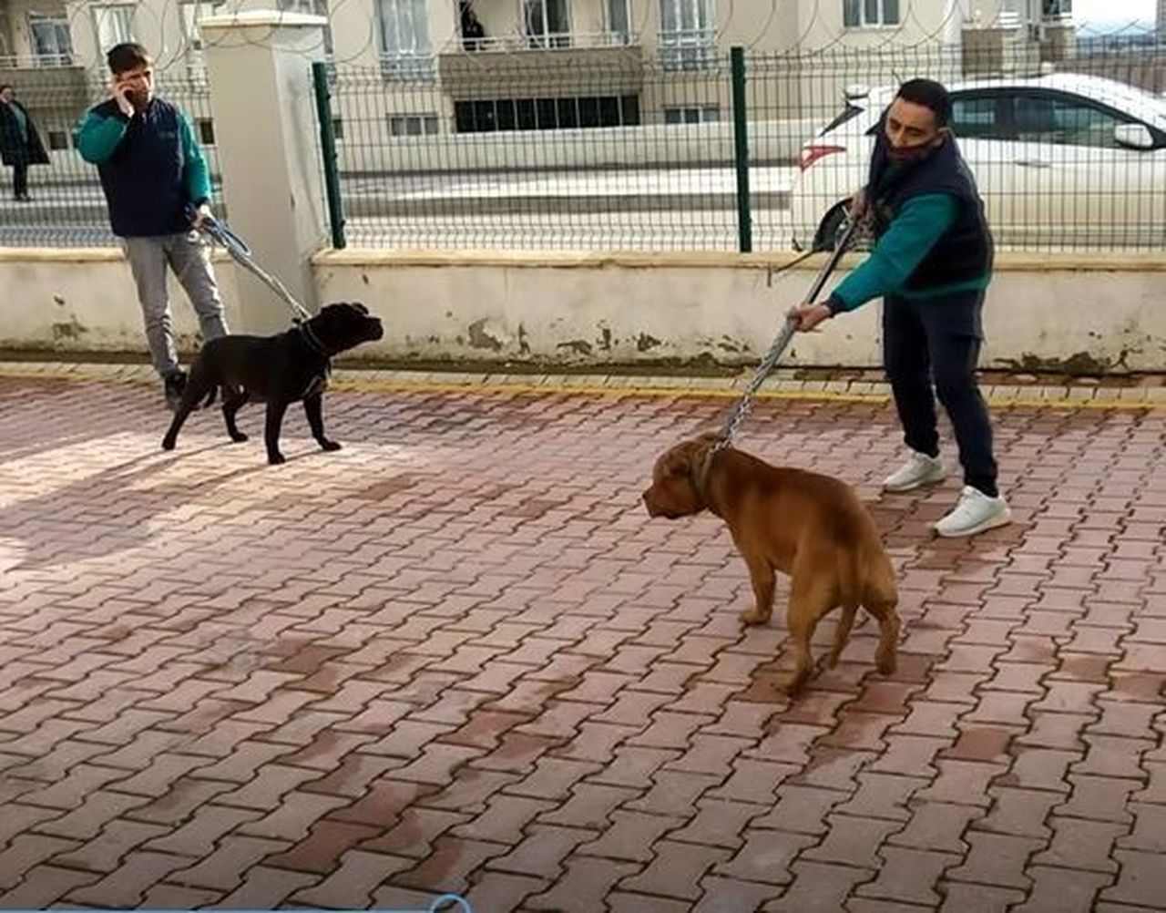 Minik Asiye’ye pitbull saldırısında flaş gelişme 2