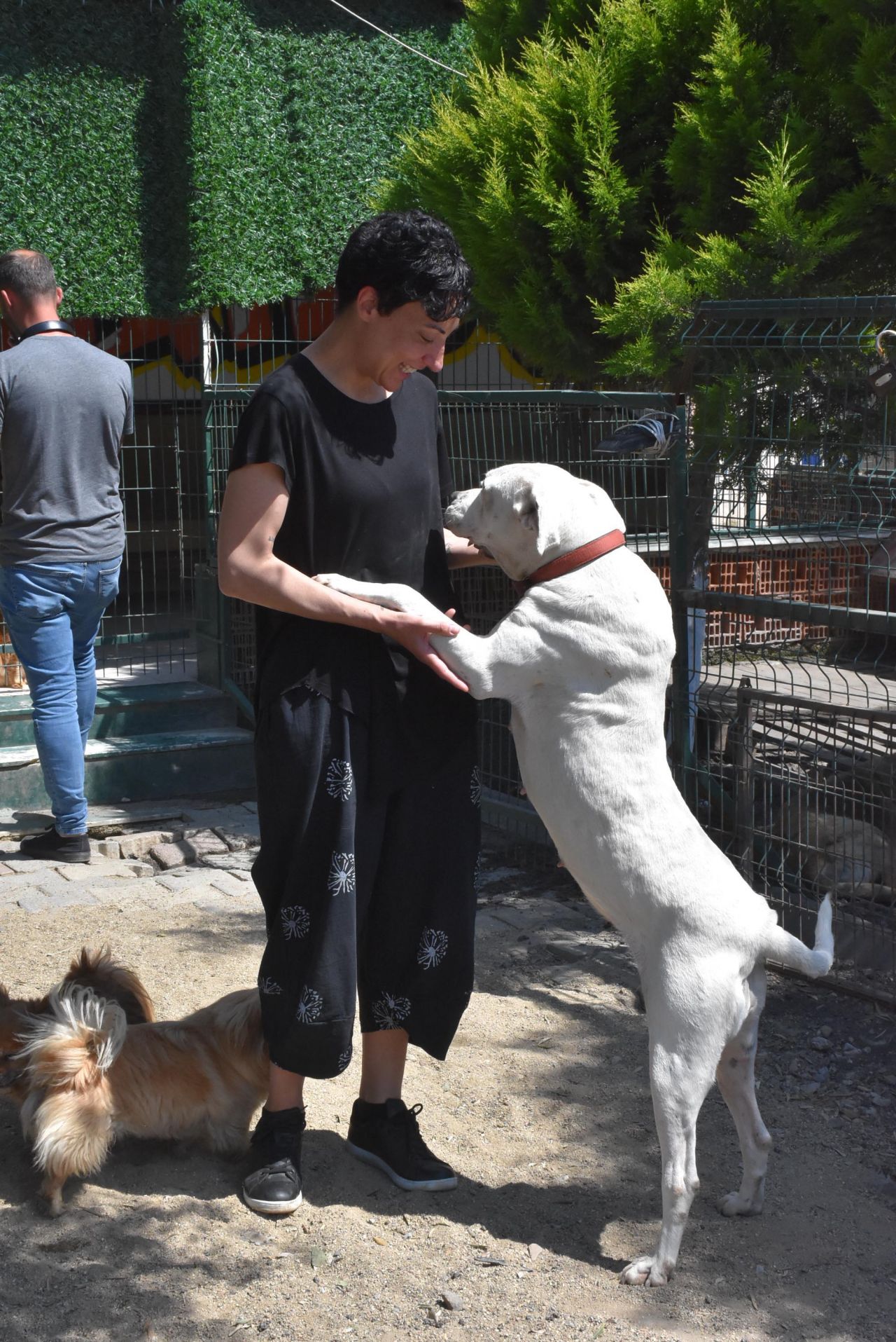 Can Bonomo'nun ablasından alkışlanacak hareket... 165 köpeğe sahip çıktı 3