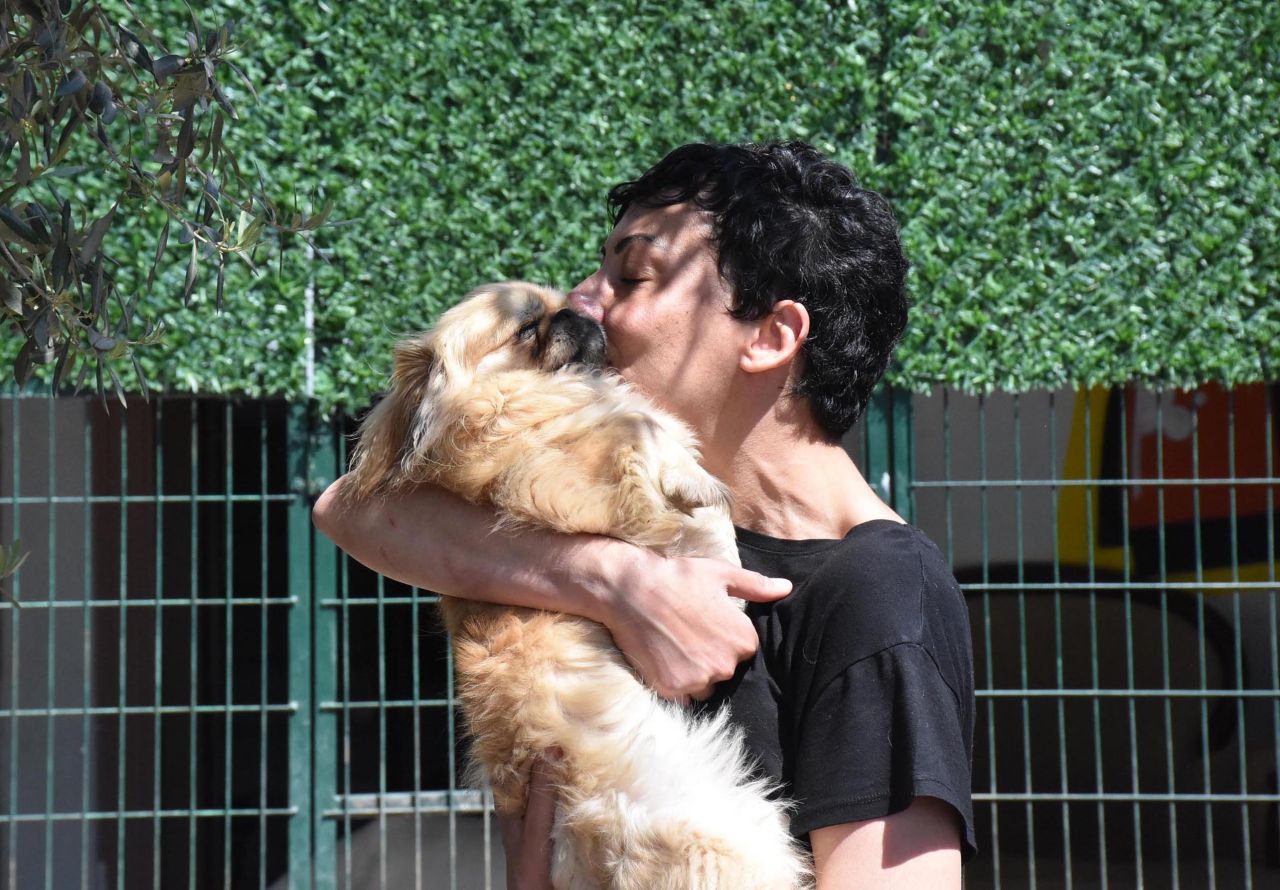 Can Bonomo'nun ablasından alkışlanacak hareket... 165 köpeğe sahip çıktı 4
