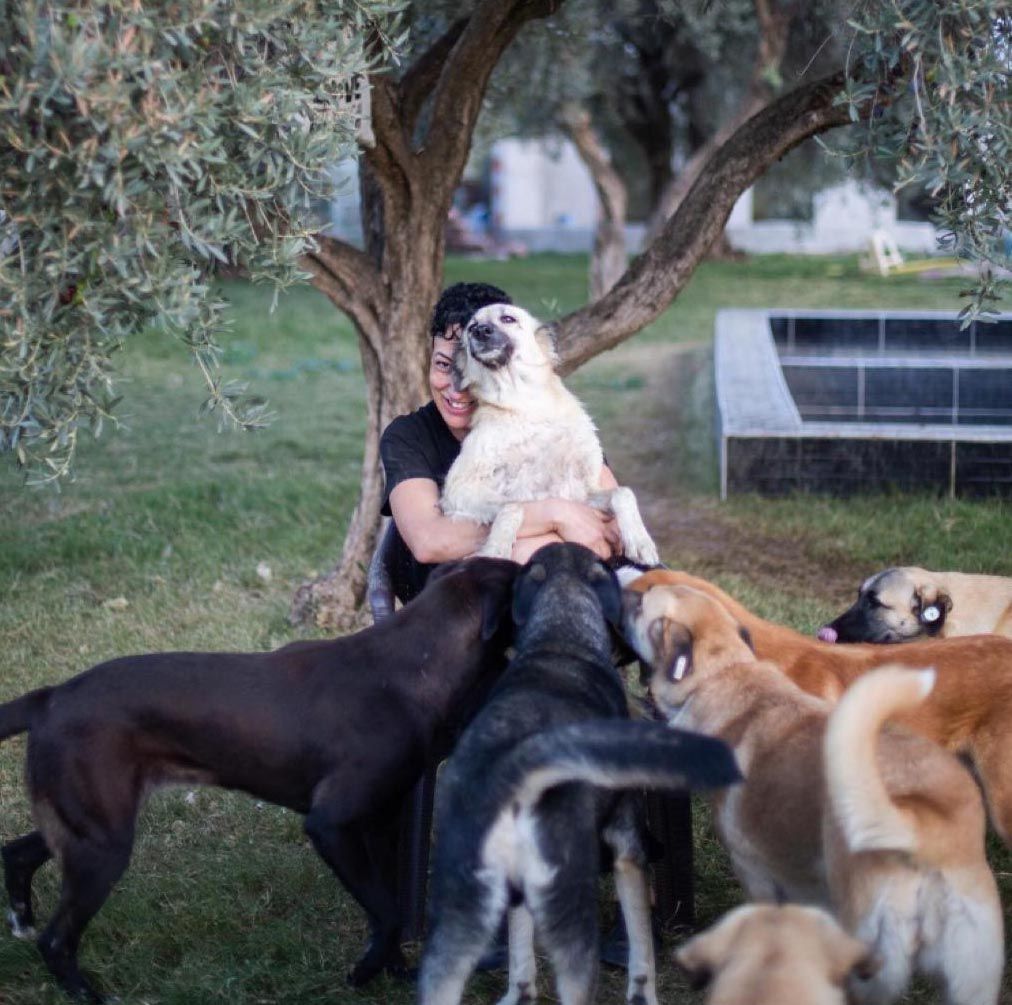 Can Bonomo'nun ablasından alkışlanacak hareket... 165 köpeğe sahip çıktı 7