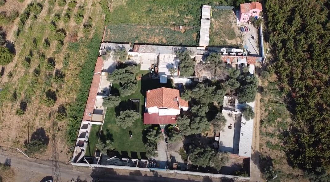 Can Bonomo'nun ablasından alkışlanacak hareket... 165 köpeğe sahip çıktı 9