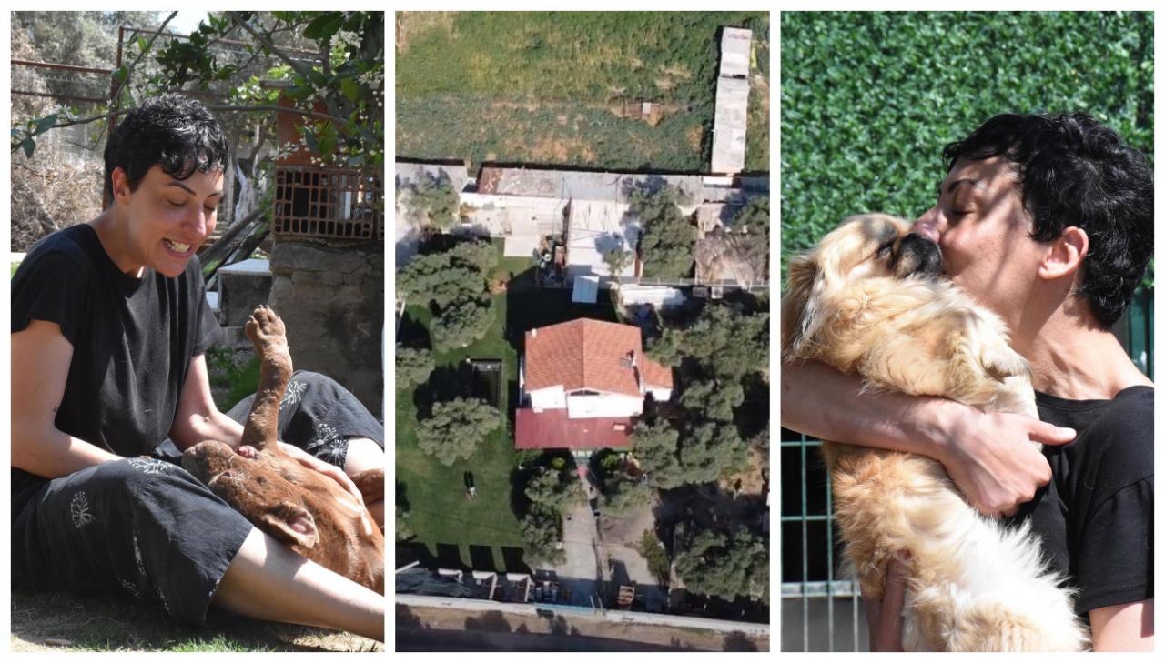 Can Bonomo'nun ablasından alkışlanacak hareket... 165 köpeğe sahip çıktı 1