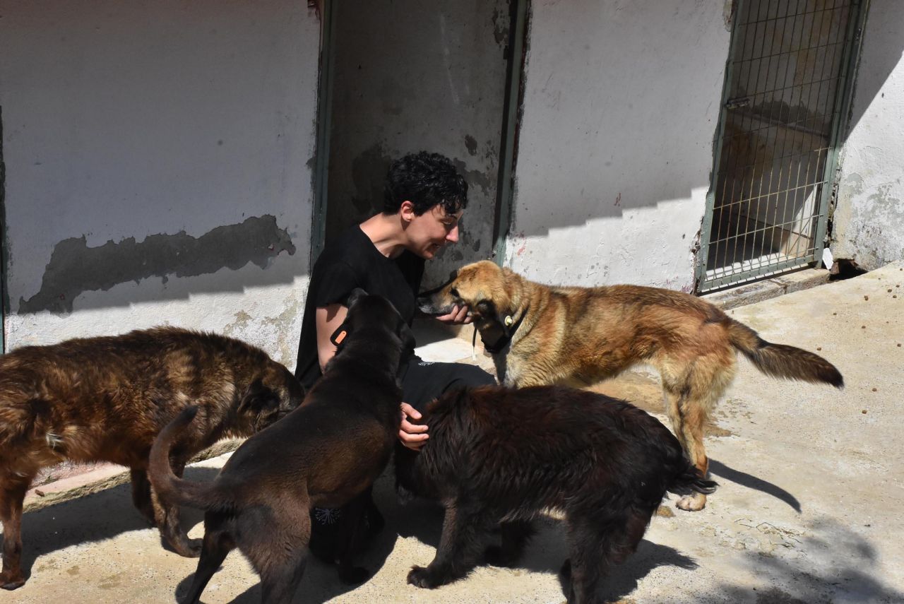 Can Bonomo'nun ablasından alkışlanacak hareket... 165 köpeğe sahip çıktı 10