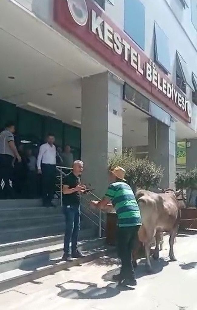 Ahırı yıkılan köylü inekleriyle belediyeyi bastı 2