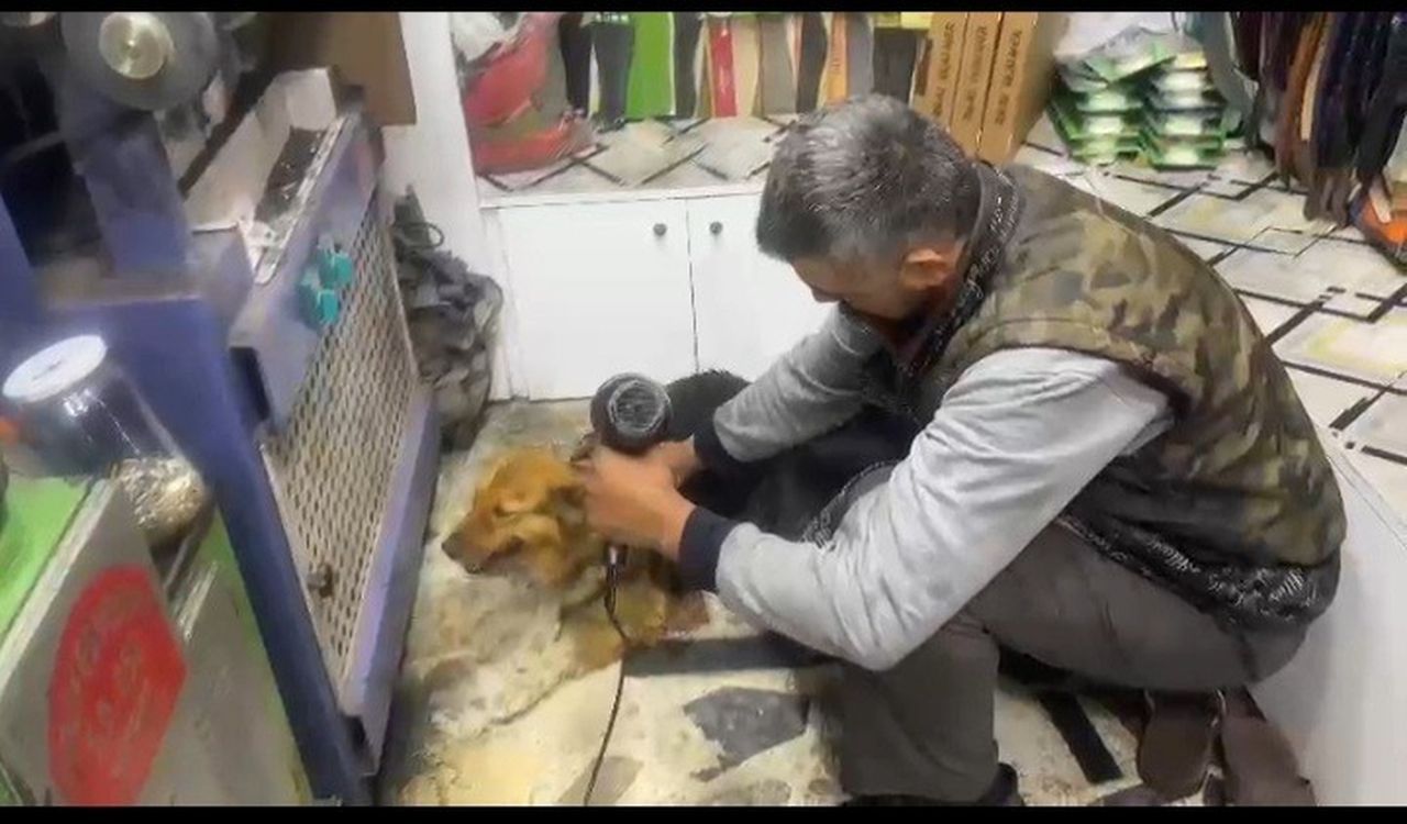 Sağanak yağış birçok şehirde hayatı felç etti! Araçlar sulara gömüldü, iş yerlerini su bastı 5