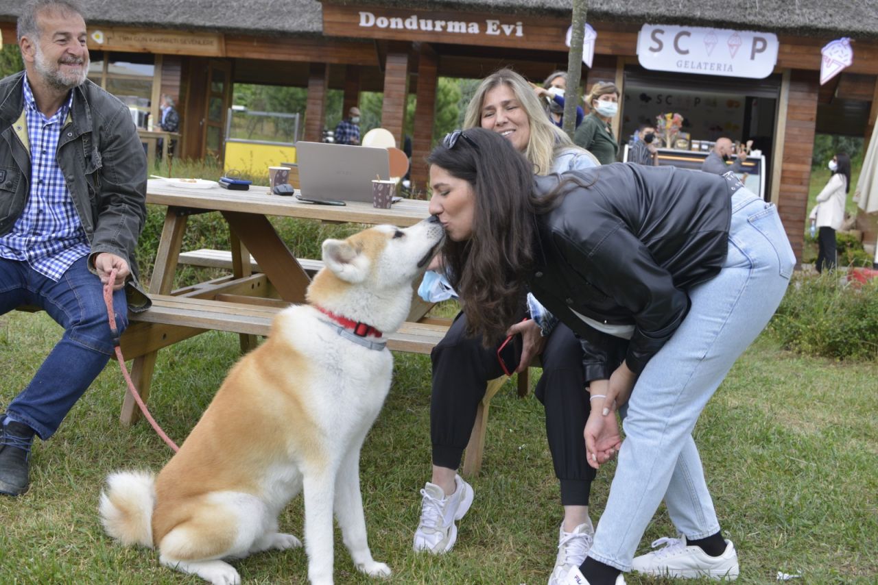 Kemerburgaz'da Doğal Yaşam Festivali yarın başlıyor: 2 gün boyunca sürecek! 12